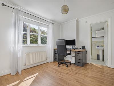 Picture 12